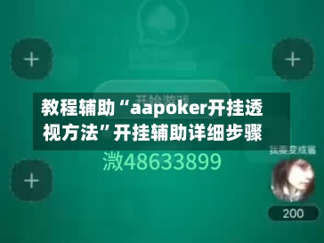 教程辅助“aapoker开挂透视方法	”开挂辅助详细步骤-第3张图片