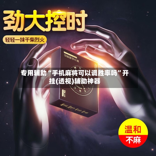 专用辅助“手机麻将可以调胜率吗	”开挂(透视)辅助神器-第3张图片
