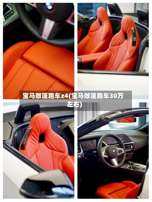 宝马敞篷跑车z4(宝马敞篷跑车30万左右)-第2张图片