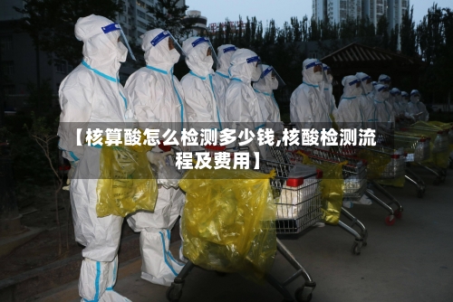 【核算酸怎么检测多少钱,核酸检测流程及费用】