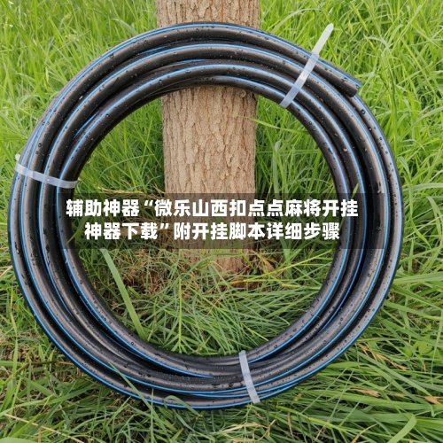 辅助神器“微乐山西扣点点麻将开挂神器下载”附开挂脚本详细步骤