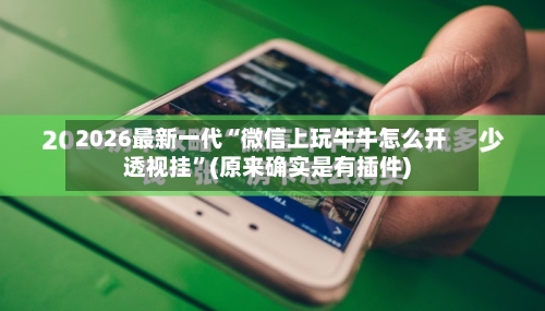 2026最新一代“微信上玩牛牛怎么开透视挂”(原来确实是有插件)-第2张图片