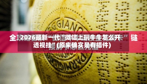 2026最新一代“微信上玩牛牛怎么开透视挂”(原来确实是有插件)