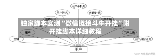 独家脚本实测“微信链接斗牛开挂”附开挂脚本详细教程-第2张图片