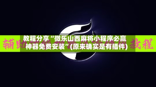 教程分享“微乐山西麻将小程序必赢神器免费安装	”(原来确实是有插件)-第2张图片