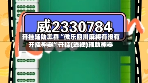 开挂辅助工具“微乐四川麻将有没有开挂神器”开挂(透视)辅助神器-第3张图片