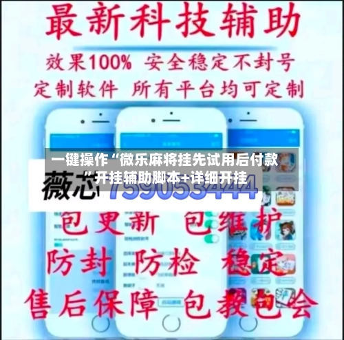 一键操作“微乐麻将挂先试用后付款”开挂辅助脚本+详细开挂-第3张图片
