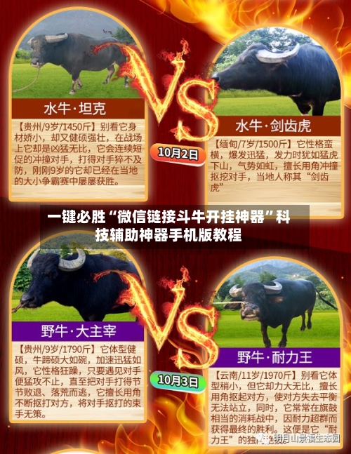 一键必胜“微信链接斗牛开挂神器	”科技辅助神器手机版教程-第2张图片