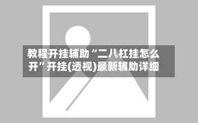 教程开挂辅助“二八杠挂怎么开	”开挂(透视)最新辅助详细-第3张图片