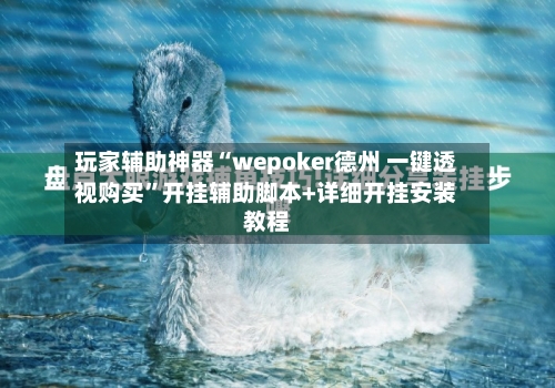 玩家辅助神器“wepoker德州 一键透视购买”开挂辅助脚本+详细开挂安装教程-第2张图片
