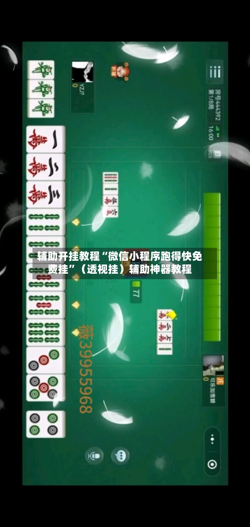 辅助开挂教程“微信小程序跑得快免费挂	”（透视挂）辅助神器教程-第2张图片