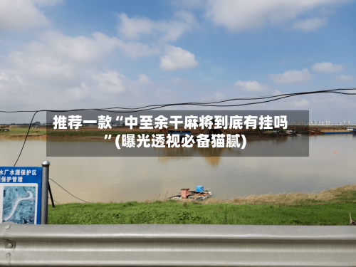 推荐一款“中至余干麻将到底有挂吗	”(曝光透视必备猫腻)-第2张图片