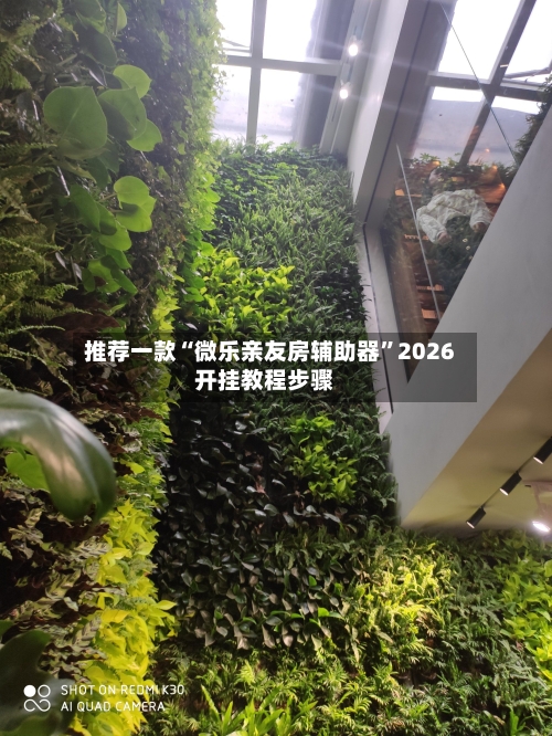 推荐一款“微乐亲友房辅助器”2026开挂教程步骤-第3张图片