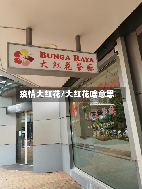 疫情大红花/大红花啥意思