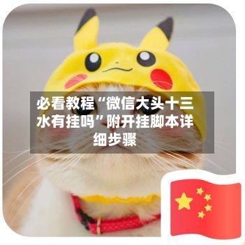 必看教程“微信大头十三水有挂吗	”附开挂脚本详细步骤-第3张图片