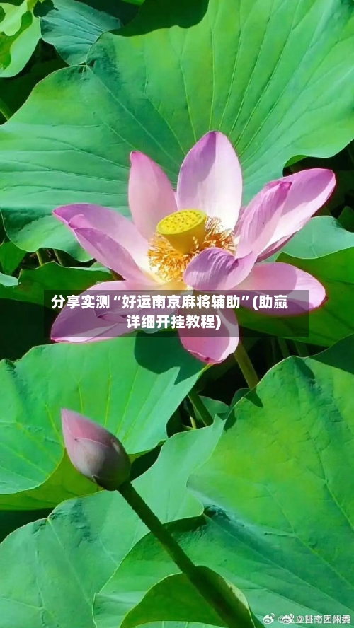 分享实测“好运南京麻将辅助”(助赢详细开挂教程)-第2张图片