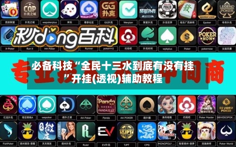 必备科技“全民十三水到底有没有挂”开挂(透视)辅助教程-第2张图片