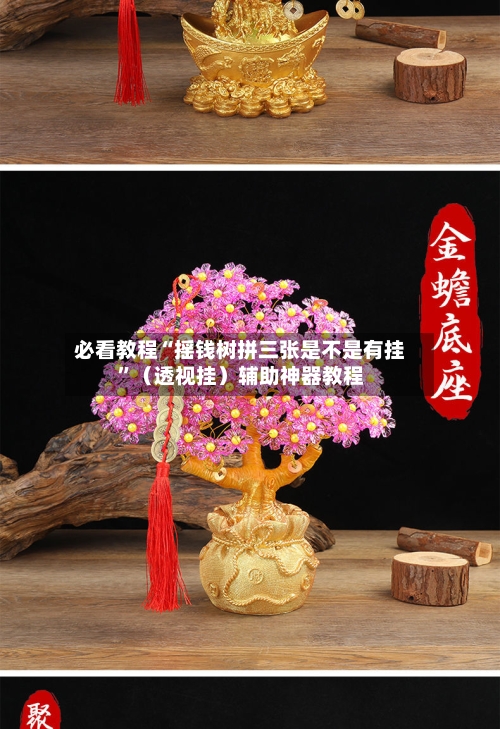 必看教程“摇钱树拼三张是不是有挂”（透视挂）辅助神器教程