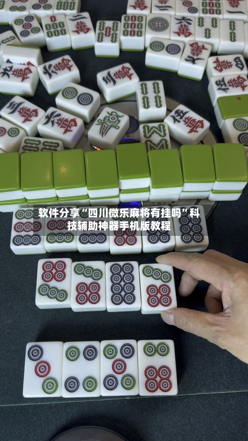 软件分享“四川微乐麻将有挂吗”科技辅助神器手机版教程-第3张图片