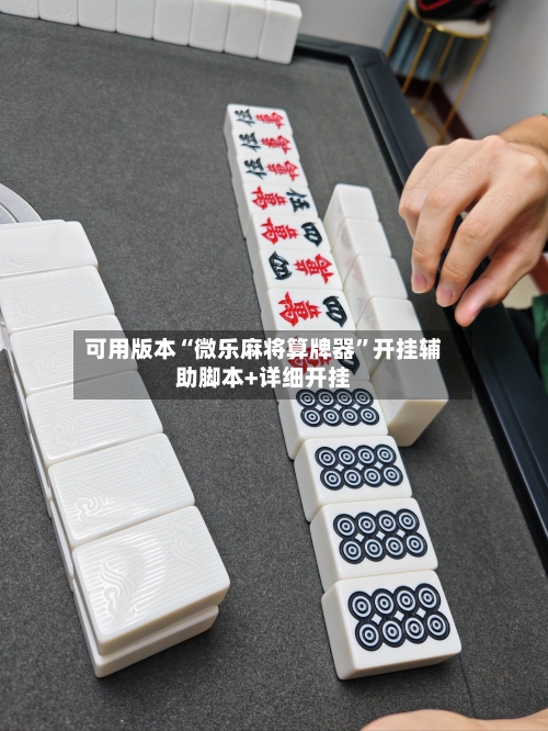 可用版本“微乐麻将算牌器”开挂辅助脚本+详细开挂-第3张图片