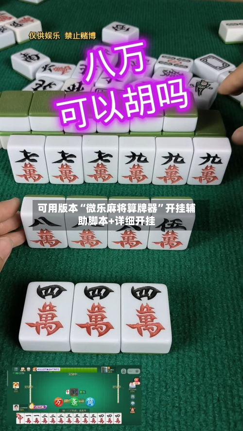 可用版本“微乐麻将算牌器”开挂辅助脚本+详细开挂-第2张图片