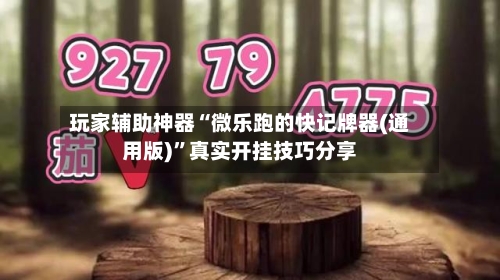 玩家辅助神器“微乐跑的快记牌器(通用版)	”真实开挂技巧分享-第3张图片