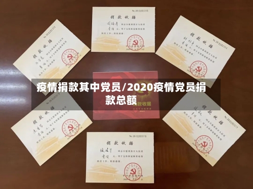 疫情捐款其中党员/2020疫情党员捐款总额