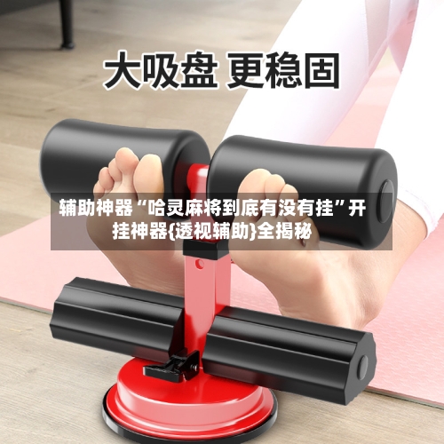 辅助神器“哈灵麻将到底有没有挂”开挂神器{透视辅助}全揭秘-第2张图片