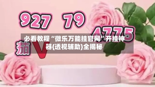 必看教程“微乐万能挂官网”开挂神器{透视辅助}全揭秘-第2张图片