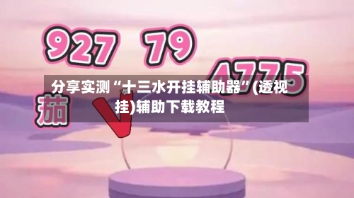分享实测“十三水开挂辅助器”(透视挂)辅助下载教程-第3张图片