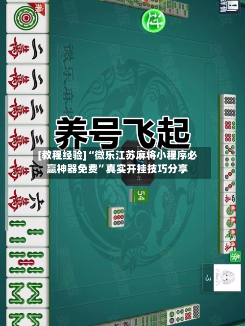 [教程经验]“微乐江苏麻将小程序必赢神器免费”真实开挂技巧分享-第3张图片