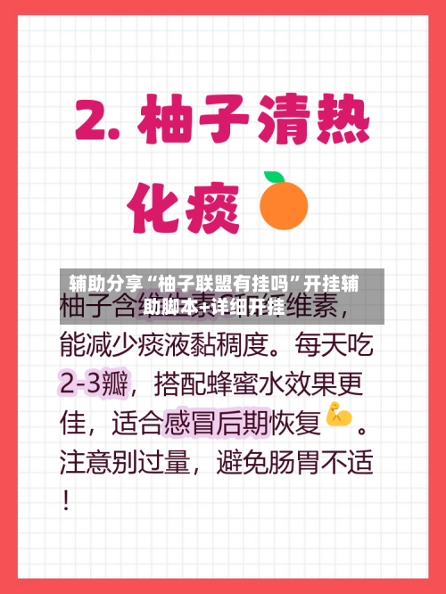 辅助分享“柚子联盟有挂吗”开挂辅助脚本+详细开挂-第2张图片