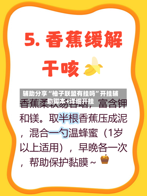 辅助分享“柚子联盟有挂吗”开挂辅助脚本+详细开挂-第3张图片