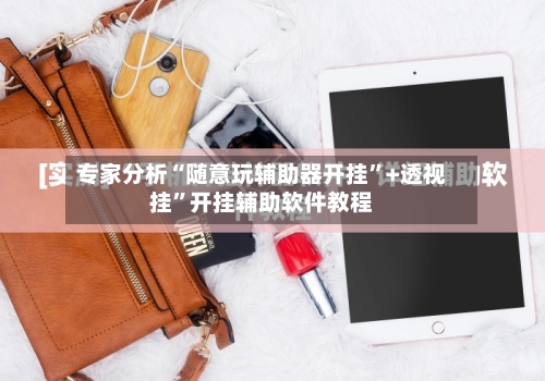 专家分析“随意玩辅助器开挂”+透视挂”开挂辅助软件教程