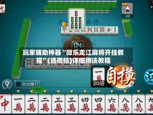 玩家辅助神器“微乐龙江麻将开挂教程”(透视挂)详细用法教程-第2张图片