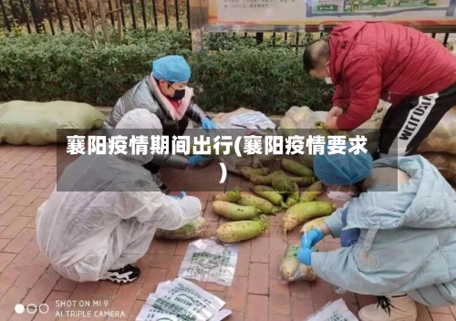 襄阳疫情期间出行(襄阳疫情要求)