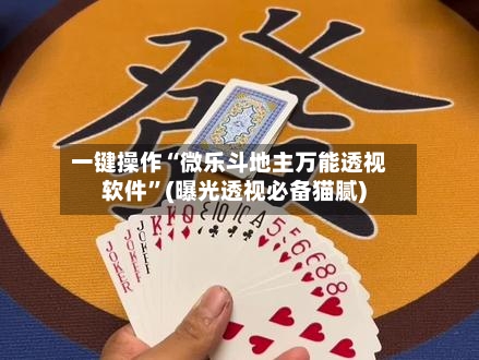 一键操作“微乐斗地主万能透视软件”(曝光透视必备猫腻)-第2张图片