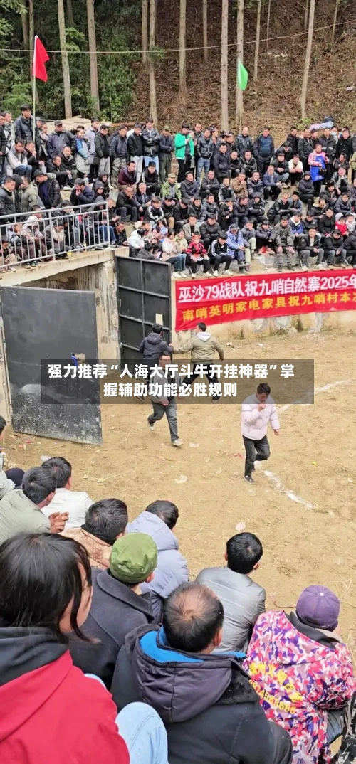 强力推荐“人海大厅斗牛开挂神器	”掌握辅助功能必胜规则-第2张图片