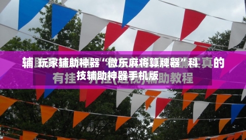 玩家辅助神器“微乐麻将算牌器	”科技辅助神器手机版-第2张图片
