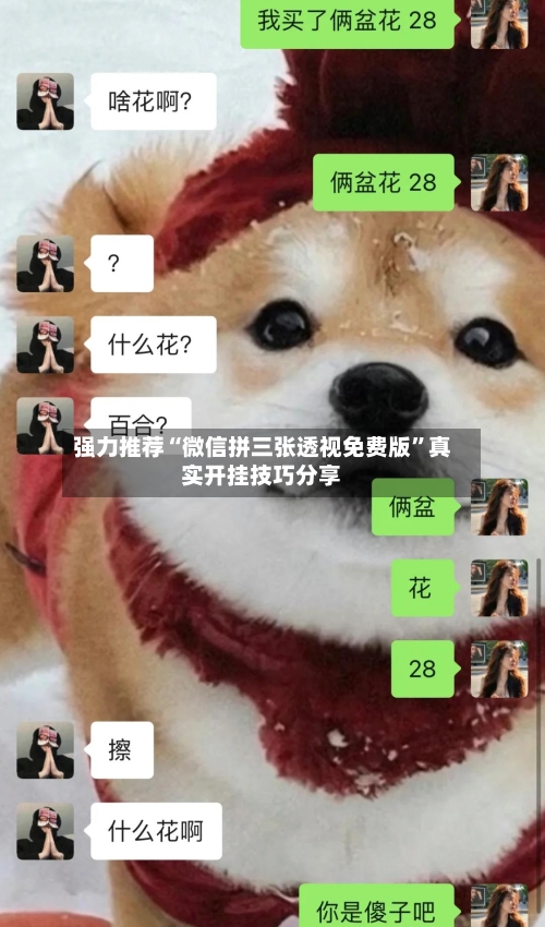 强力推荐“微信拼三张透视免费版	”真实开挂技巧分享-第2张图片