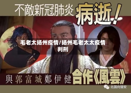 毛老太扬州疫情/扬州毛老太太疫情判刑-第2张图片