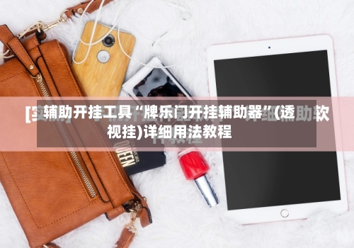 辅助开挂工具“牌乐门开挂辅助器	”(透视挂)详细用法教程-第2张图片