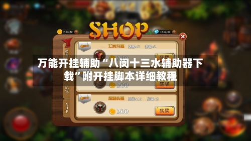 万能开挂辅助“八闵十三水辅助器下载”附开挂脚本详细教程-第3张图片