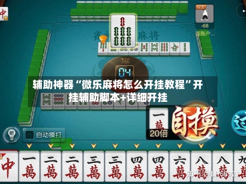 辅助神器“微乐麻将怎么开挂教程”开挂辅助脚本+详细开挂-第3张图片