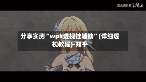 分享实测“wpk透视挂辅助”(详细透视教程)-知乎-第3张图片