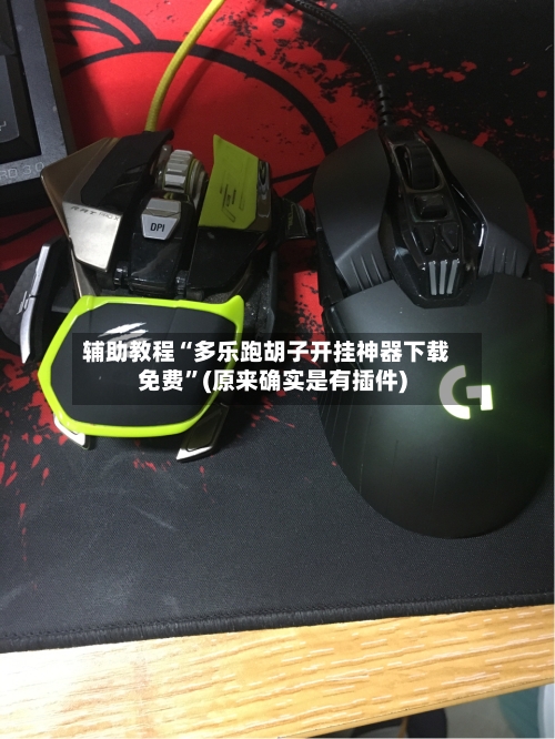辅助教程“多乐跑胡子开挂神器下载免费”(原来确实是有插件)-第2张图片