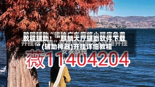 教程辅助！“麒麟大厅辅助软件下载”(辅助神器)开挂详细教程-第2张图片