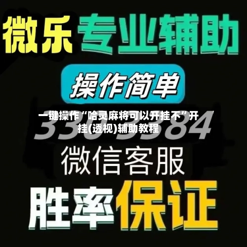 一键操作“哈灵麻将可以开挂不	”开挂(透视)辅助教程-第2张图片