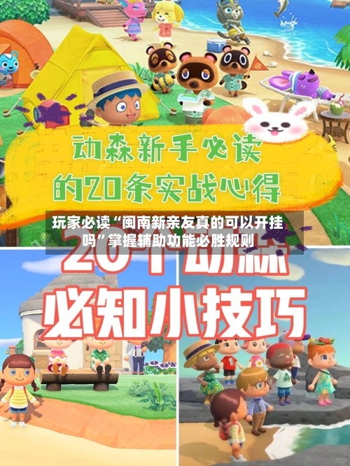 玩家必读“闽南新亲友真的可以开挂吗”掌握辅助功能必胜规则-第2张图片