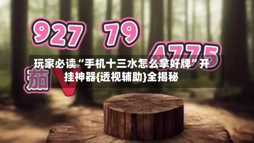 玩家必读“手机十三水怎么拿好牌”开挂神器{透视辅助}全揭秘-第2张图片
